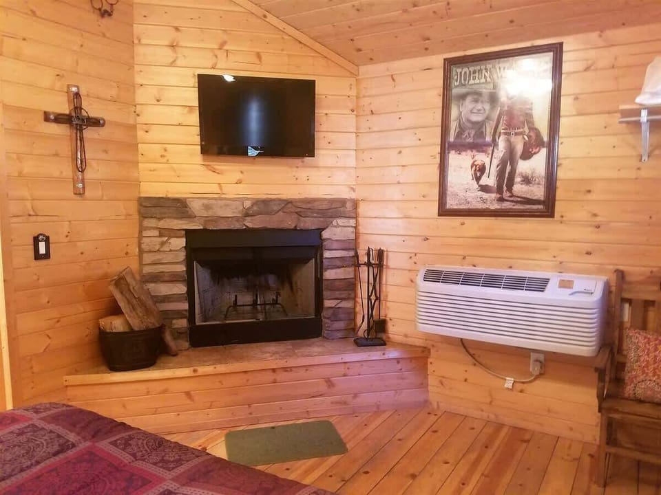 Wood burning fireplace
