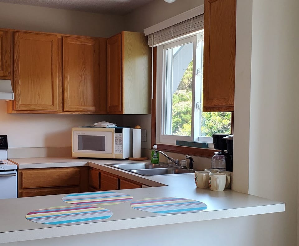 Kitchen stocked with Everything you need