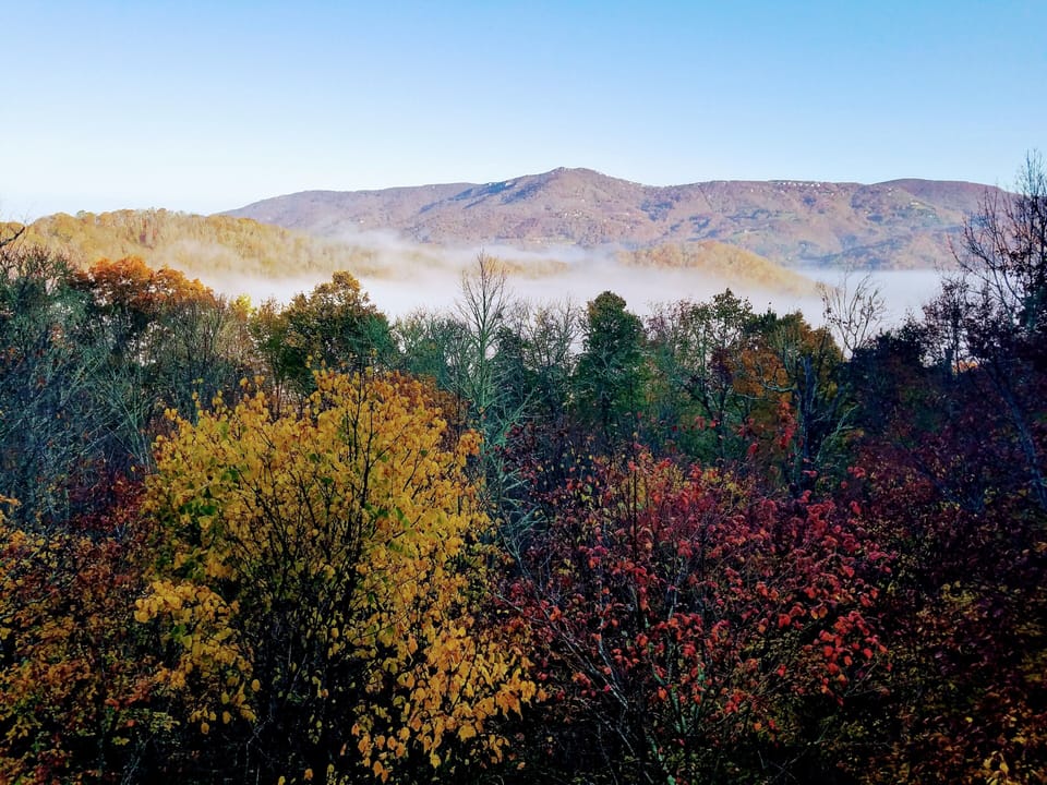 Fall morning from the deck 