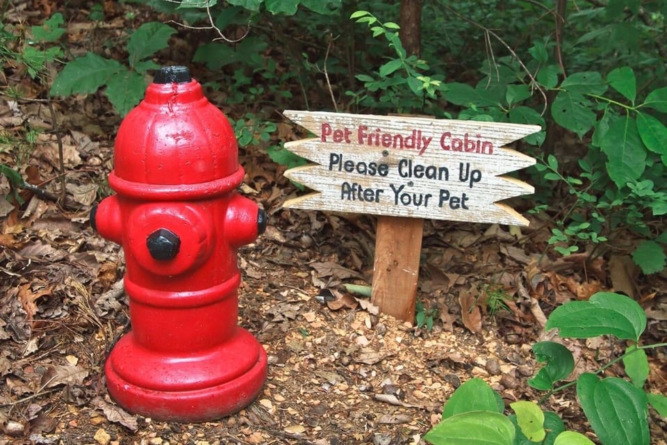A Heavenly View Pet Friendly