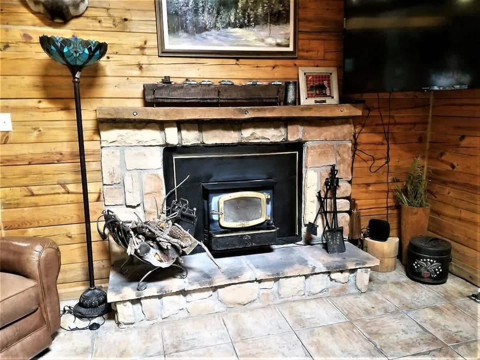 Wood burning fireplace