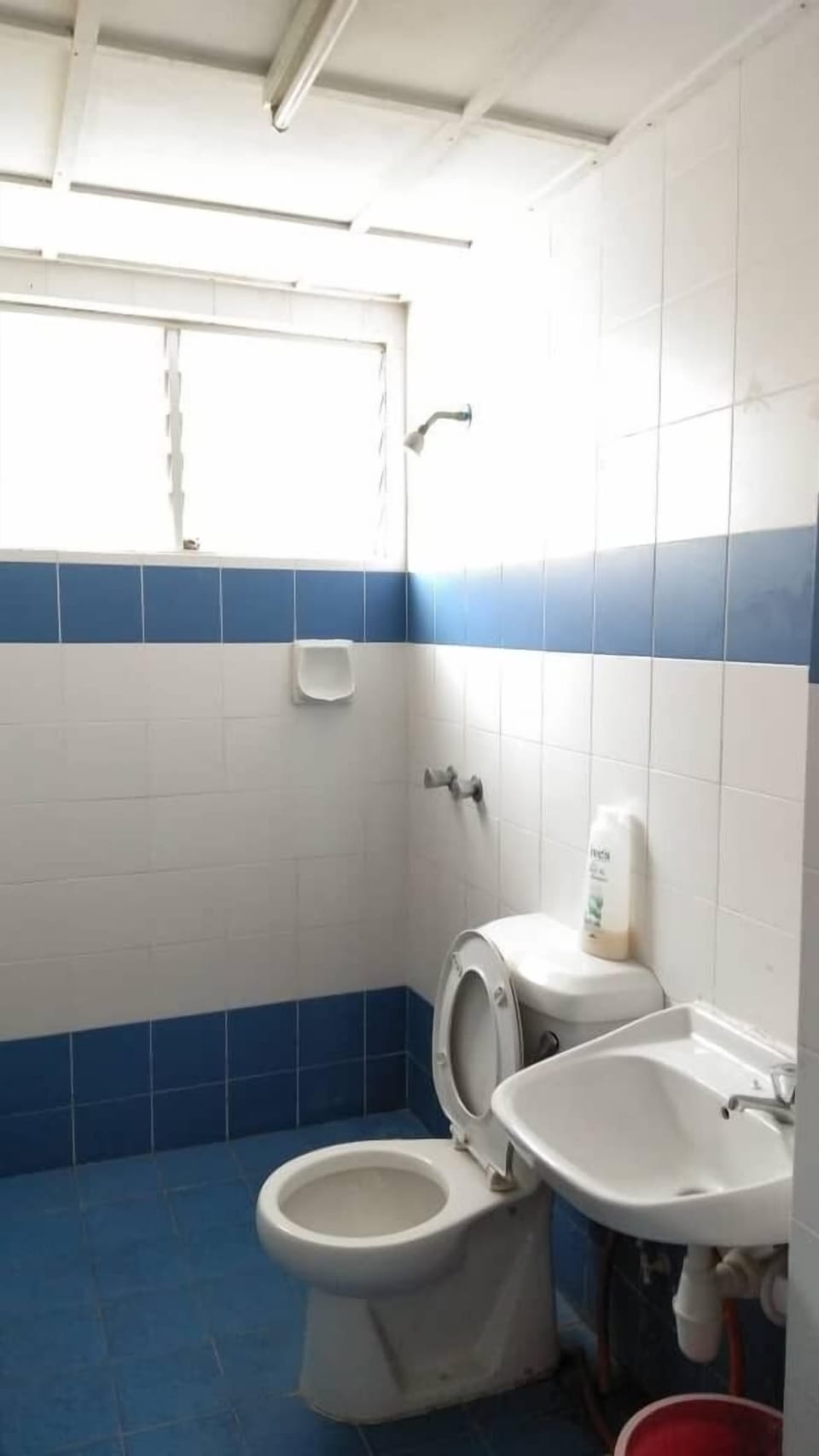Shower, towels, soap, shampoo