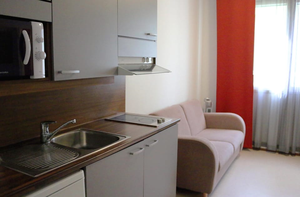 Family Apartment | Private kitchen | Fridge, microwave, stovetop, coffee/tea maker