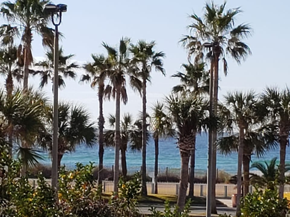 View from the balcony