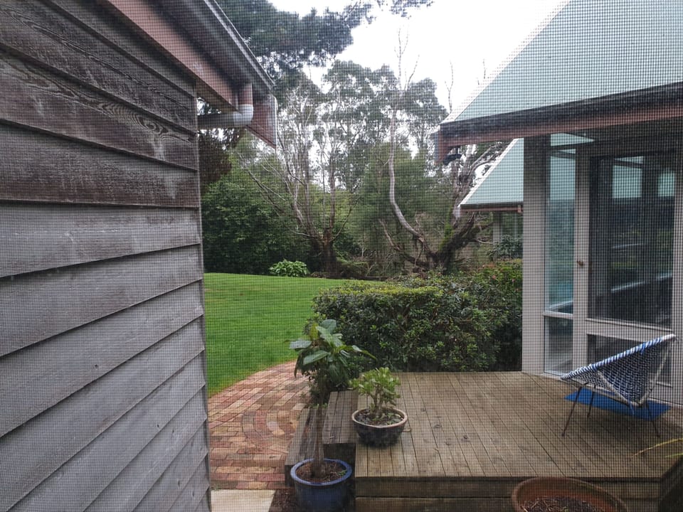 The garden view from the kitchen.