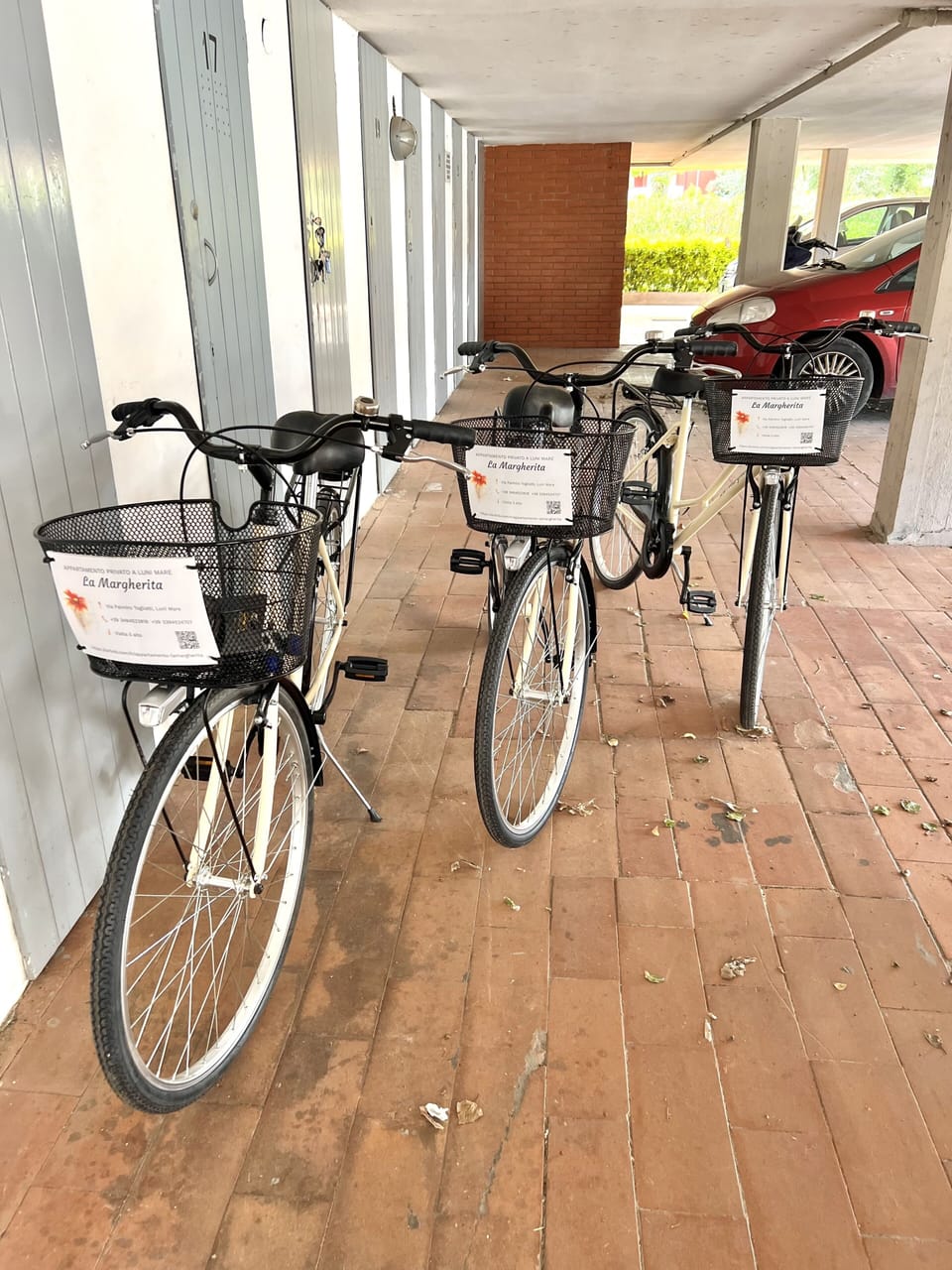 Noleggio biciclette gratuito