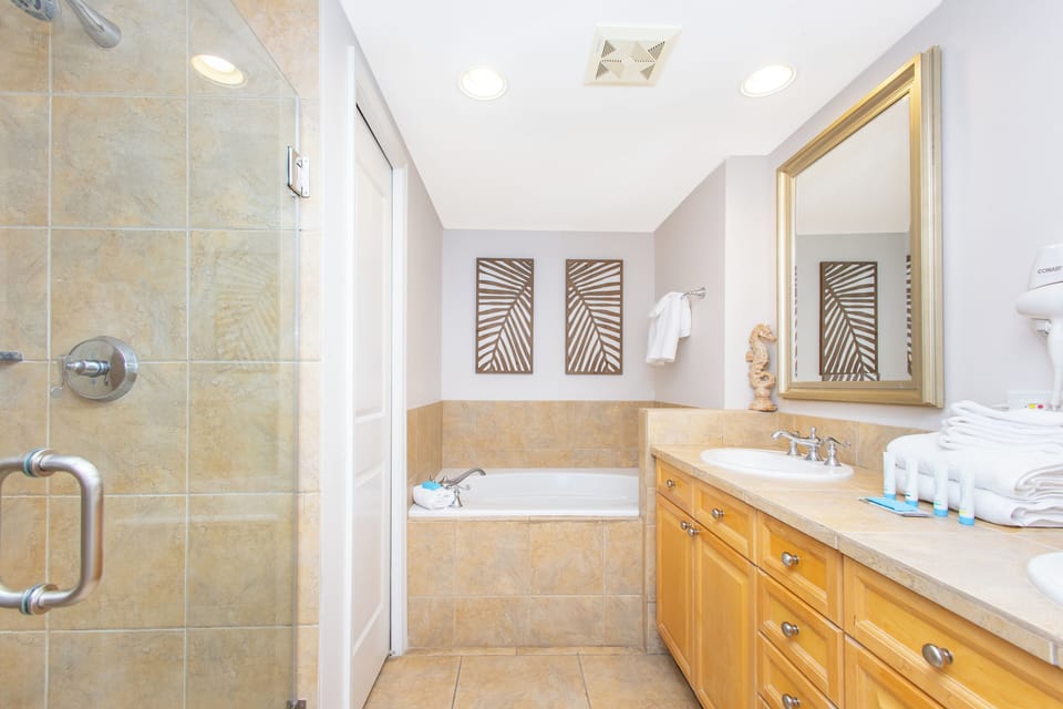 Master Bathroom 1.0