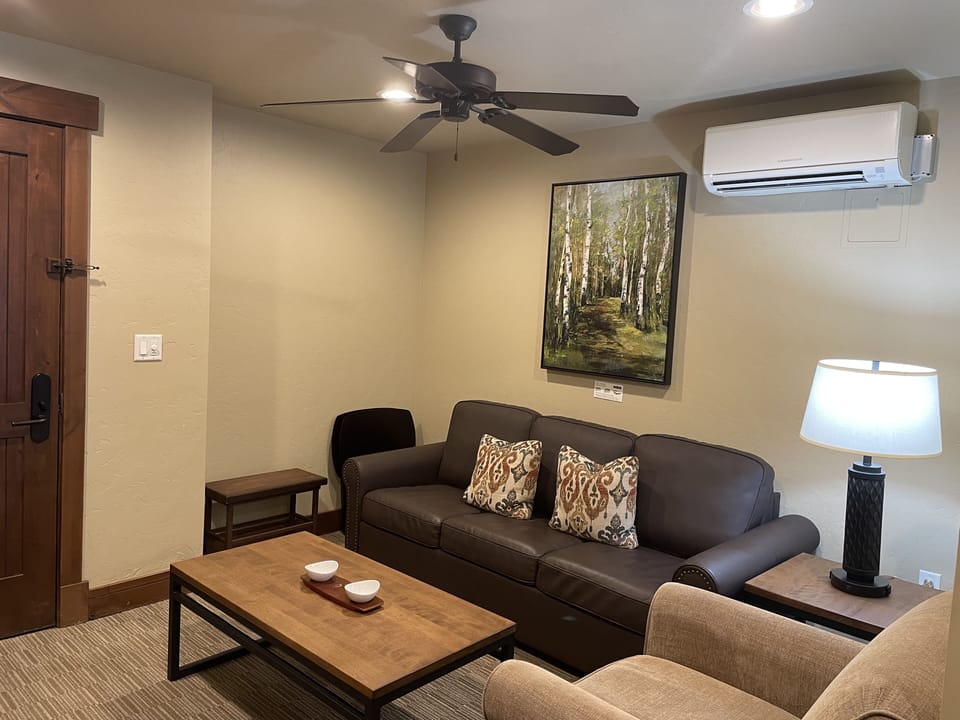 Living area with pullout sofa sleeper