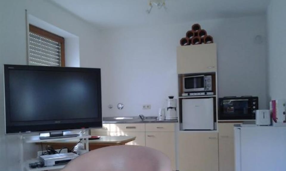 Deluxe Apartment | Private kitchen | Shared fridge, shared microwave, highchair