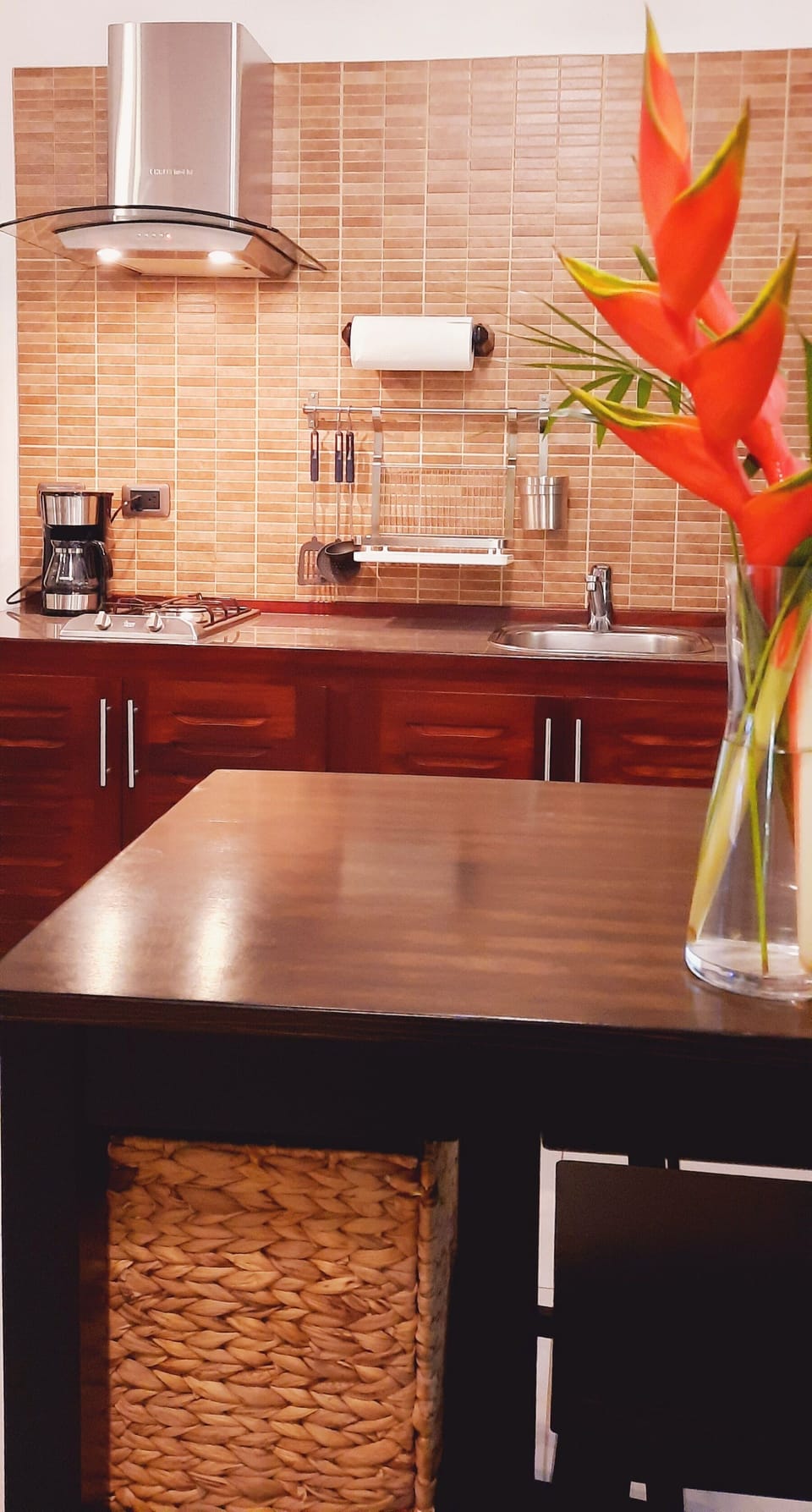 Luxury Apartment | Private kitchen | Coffee/tea maker, full-size fridge, freezer