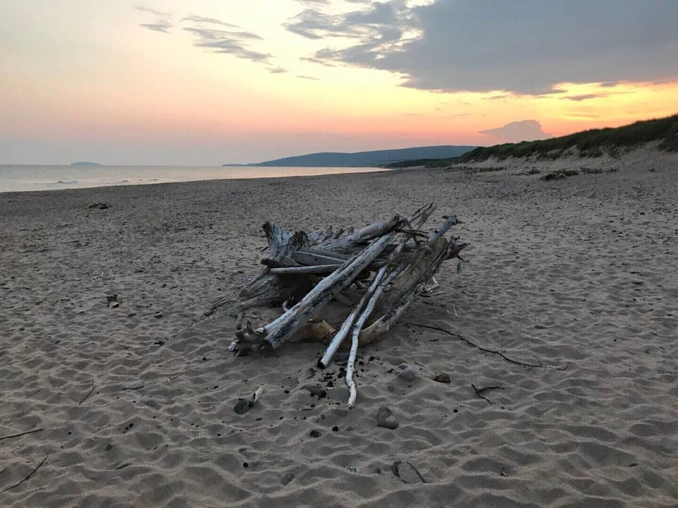 Driftwood on the Beach