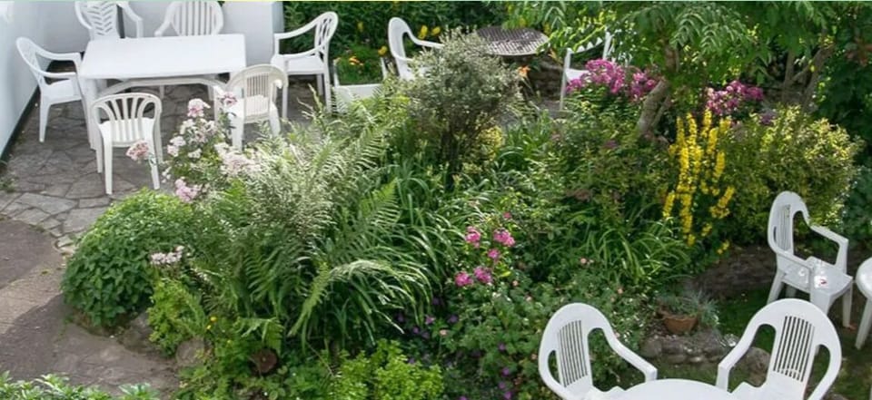 Southern Cross Guest House Bed and Breakfast in East Devon District