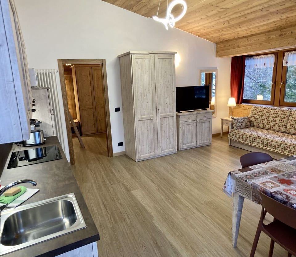 Superior Apartment, Kitchen | Living area | DVD player