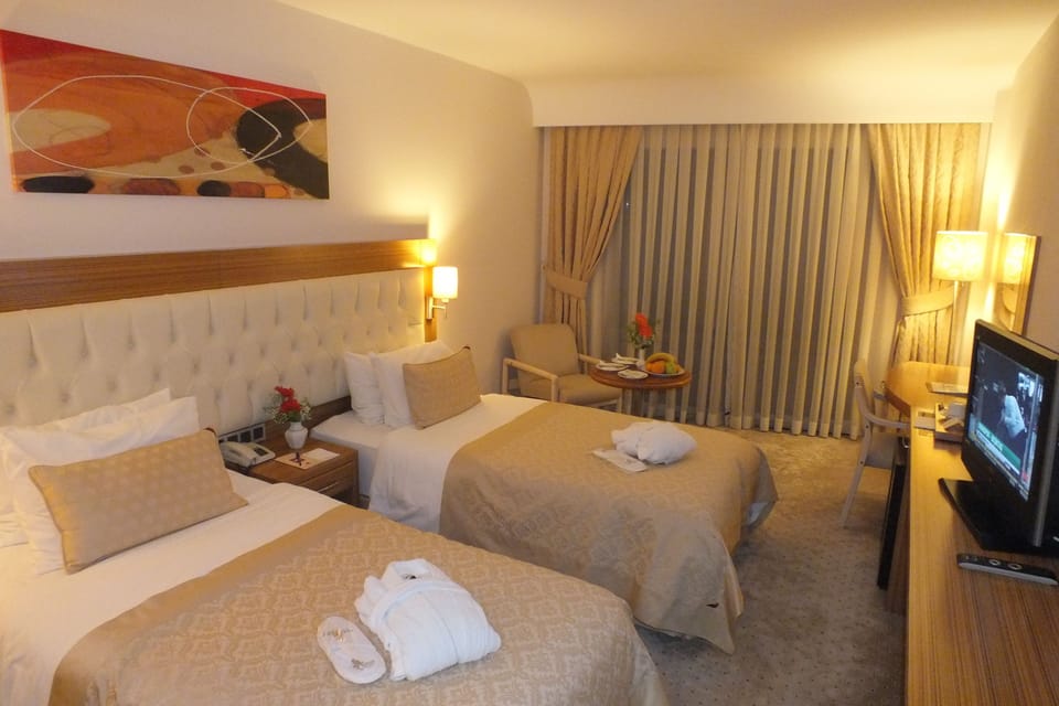 Single Room | Minibar, in-room safe, desk, free WiFi