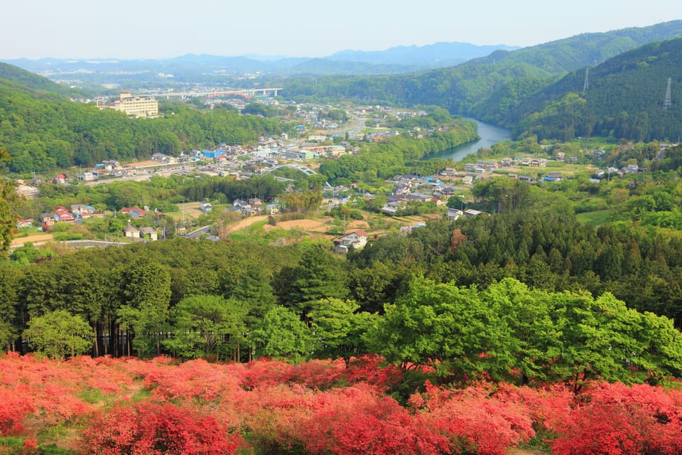 Land view from property