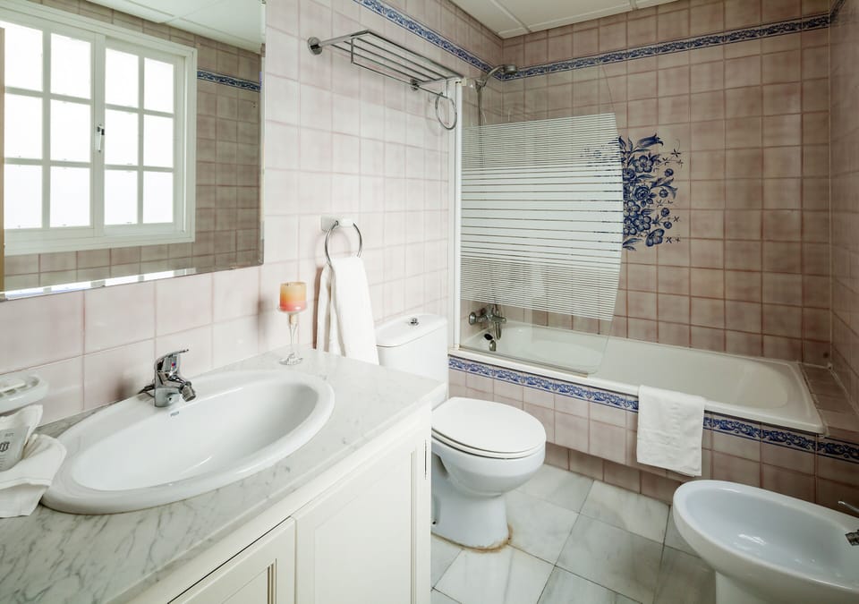 Bathtub, free toiletries, hair dryer, bidet