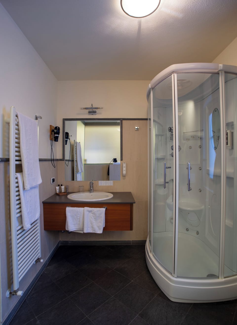 Suite (Shower) | Bathroom | Free toiletries, hair dryer, bathrobes, slippers