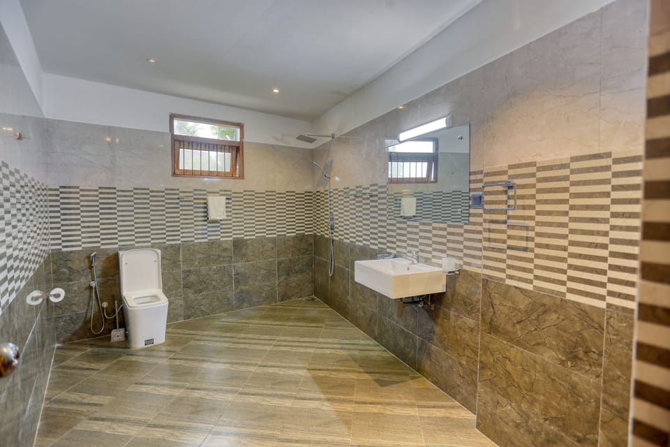 Basic Apartment | Bathroom | Shower, hydromassage showerhead, towels, soap