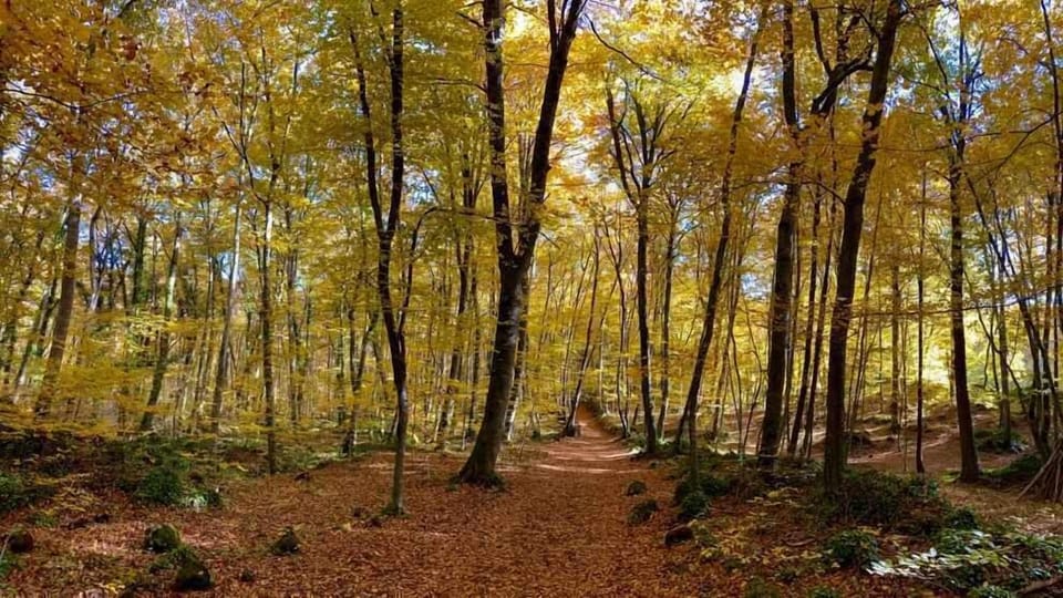 Natural landscape