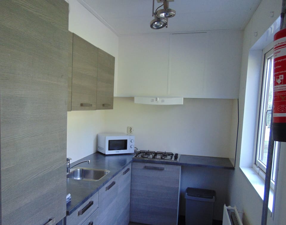 Basic Cabin, 4 Bedrooms, Terrace, Garden View | Private kitchen | Full-size fridge, stovetop, espresso maker, coffee/tea maker