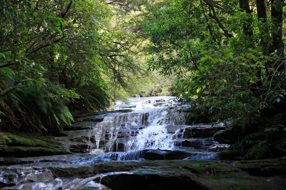 3 mins drive to Leura Cascades