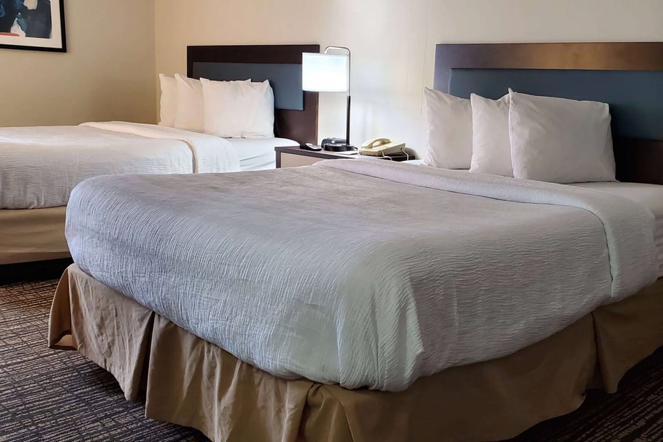 Iron/ironing board, WiFi (free), alarm clocks, bed sheets