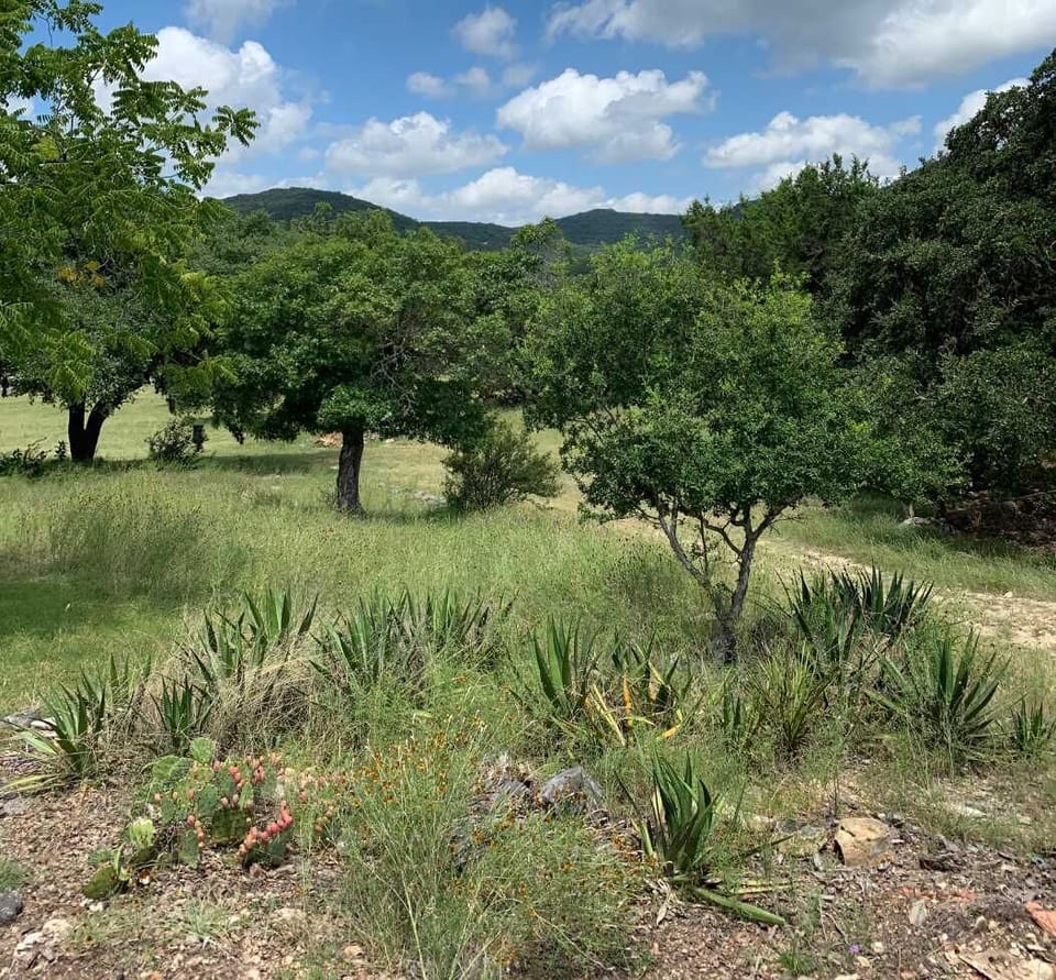 Madrona Ranch has 14 acres to explore, including the creek and private lake. Pets are welcome here, too, as long as they're leashed.
