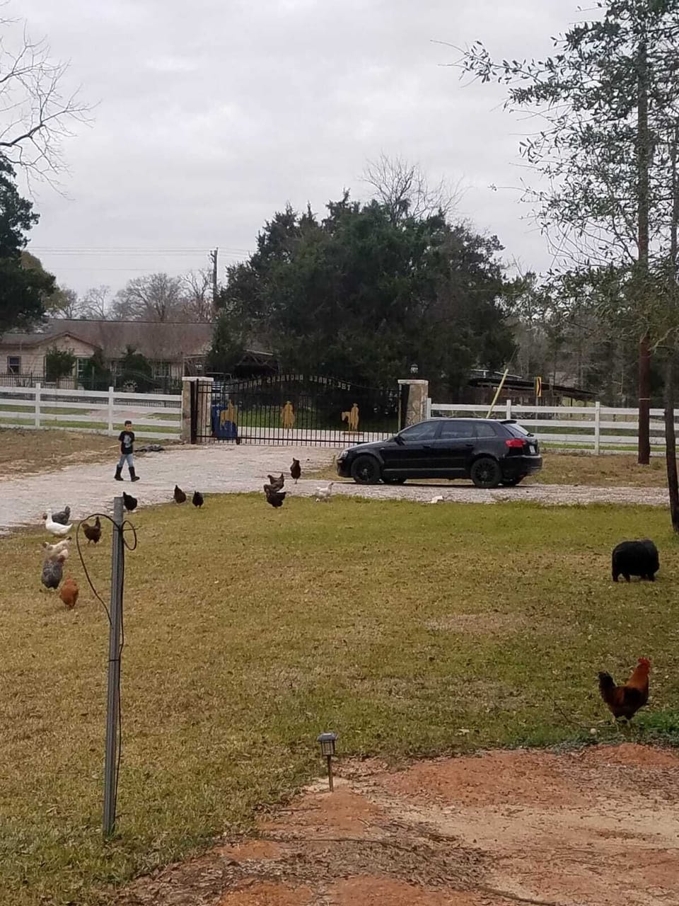 Property grounds