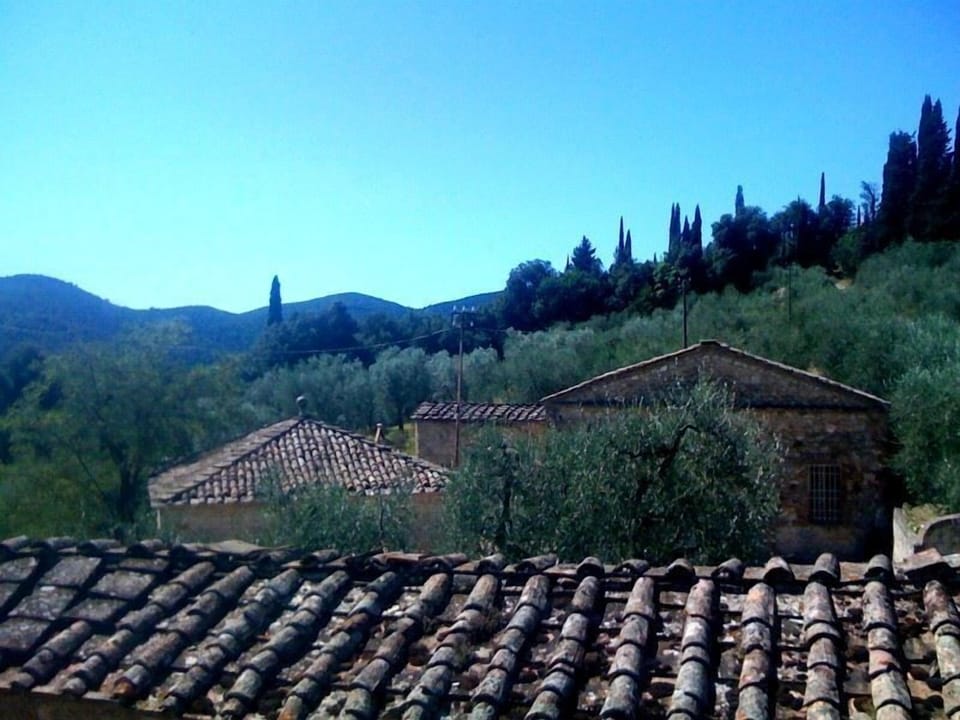 view from a bathroom