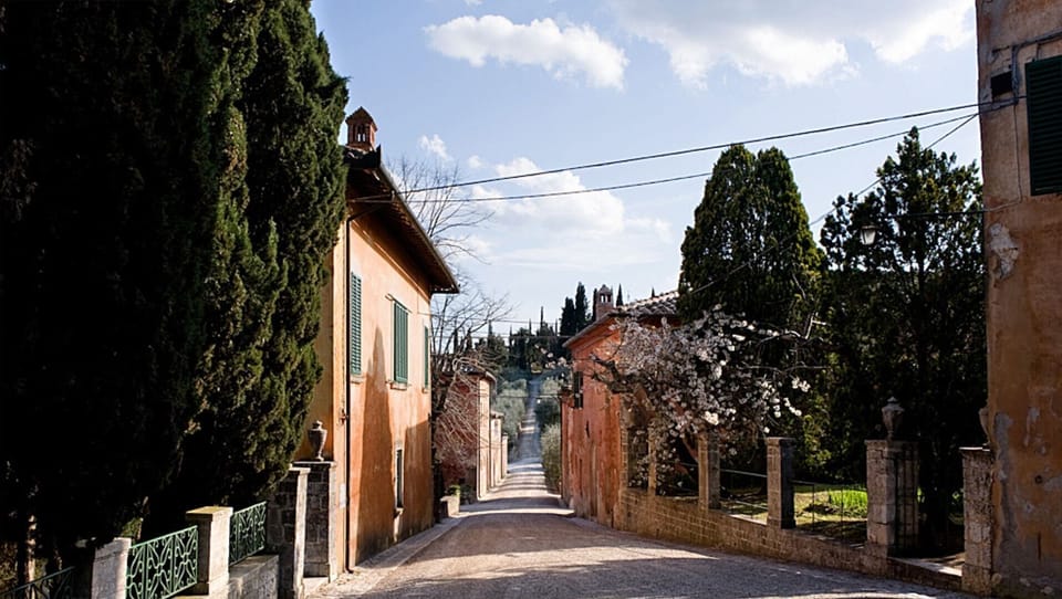The estate