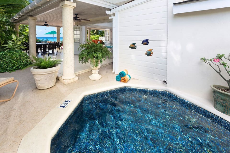 Plunge Pool