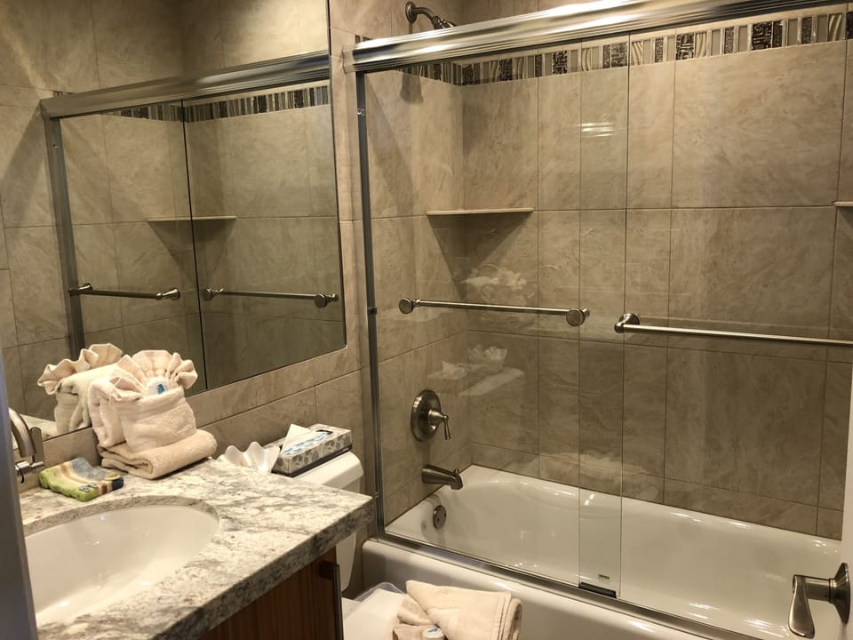 Master bath with tub