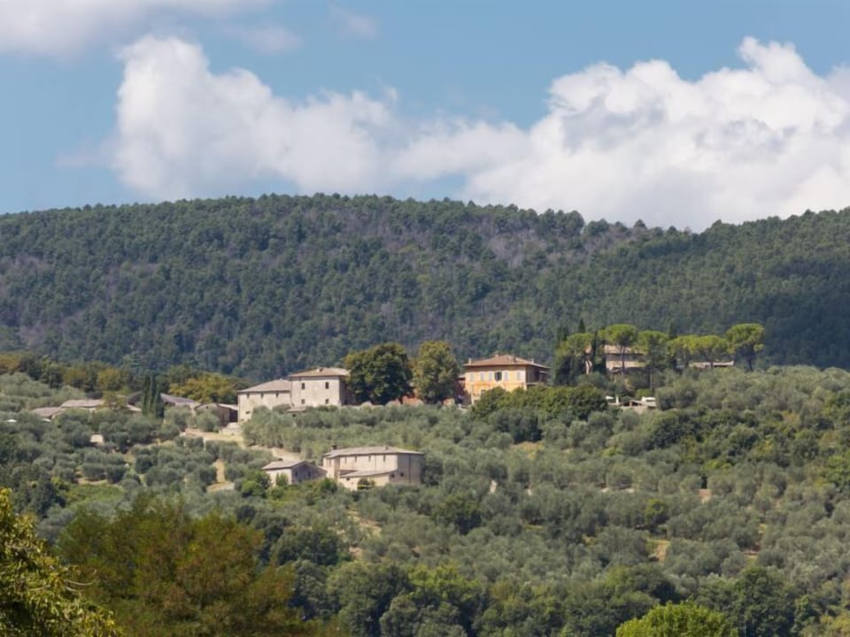 view of Montestigliano from Orgia