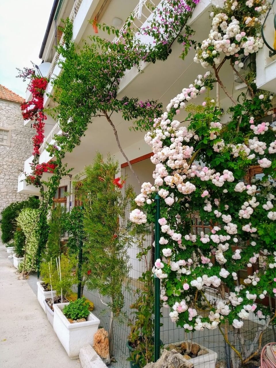 Exterior detail