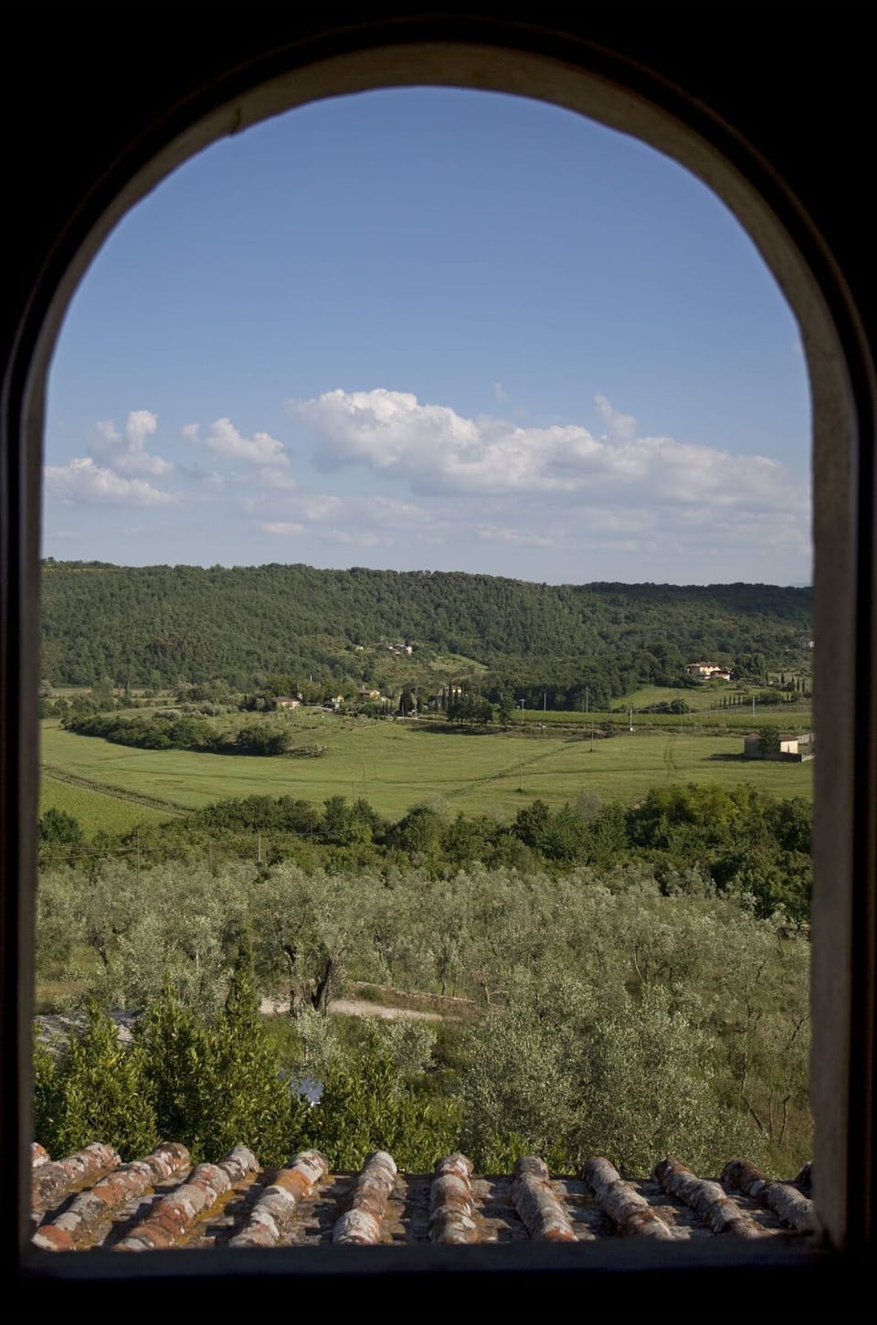 Scenic View