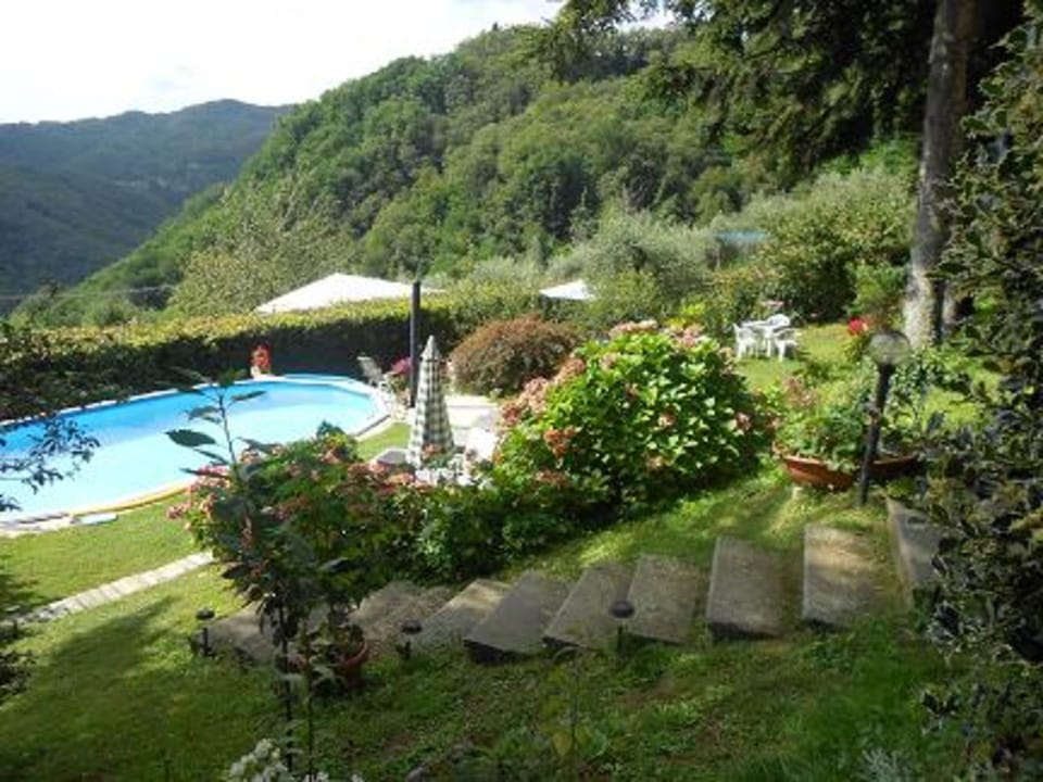 Garden, Outdoor, Pool