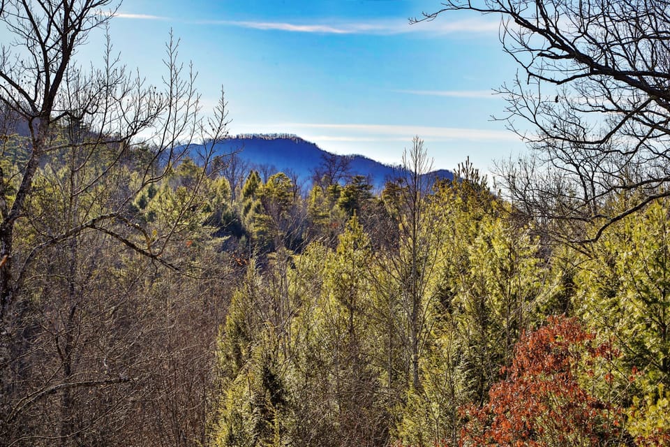 Beautiful Mountain Views! 