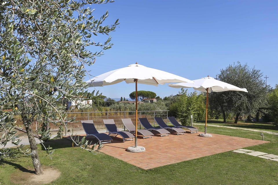 Garden, Outdoor, Pool