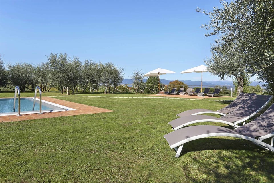 Garden, Pool