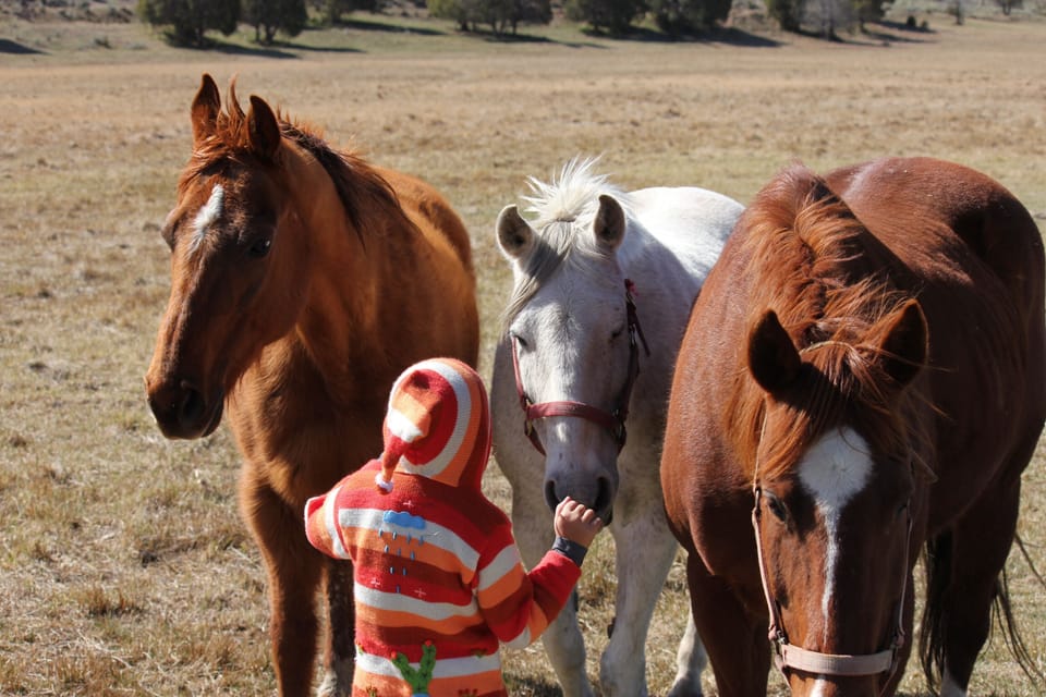 Sophie with Zeus, Boomer, and Skye