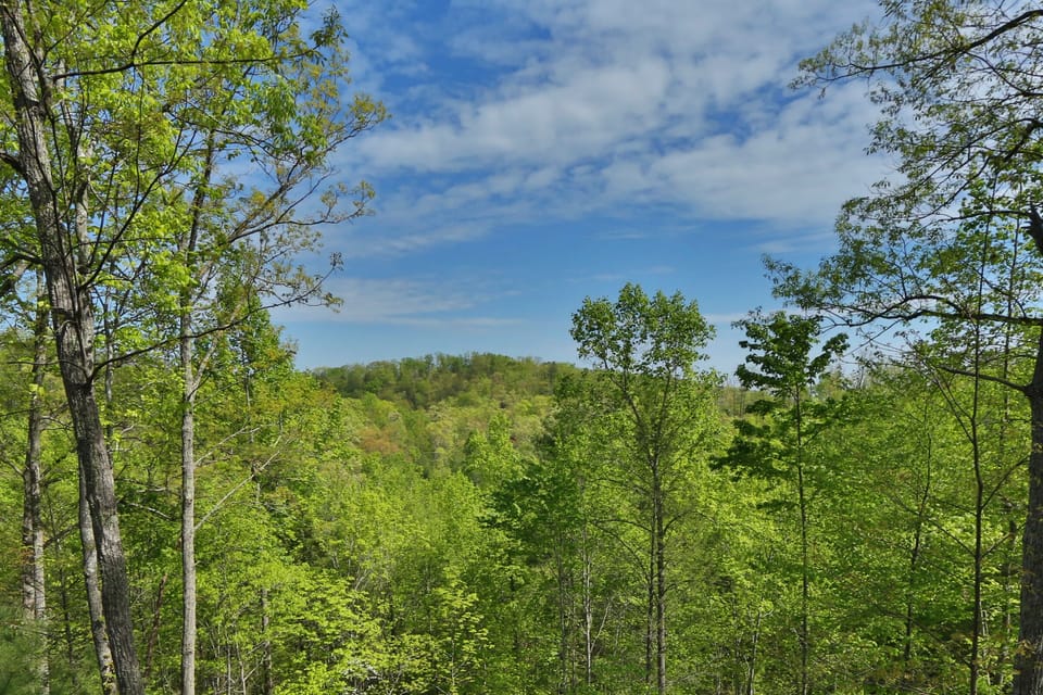 Beautiful Mountain View from Cabin