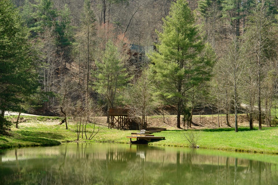 Cabin View from Pond