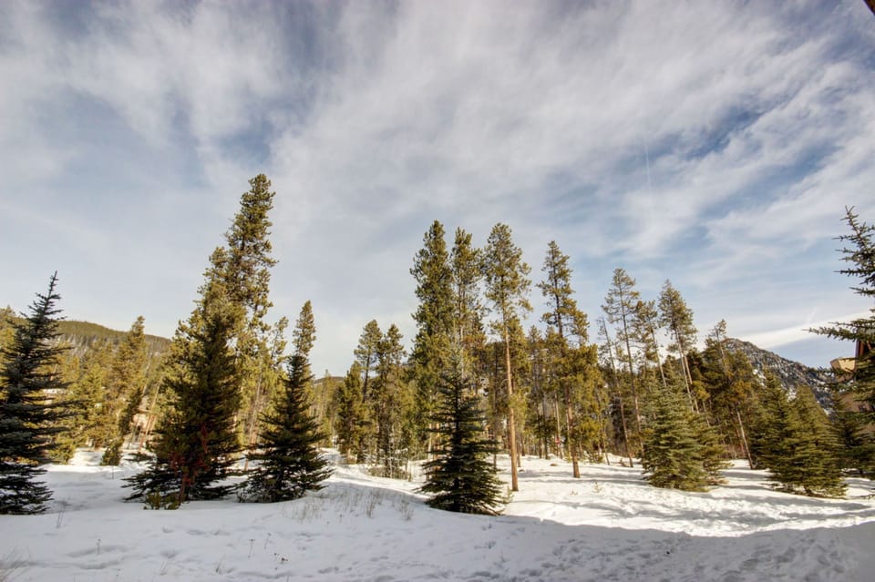 Colorado nature views! #winter