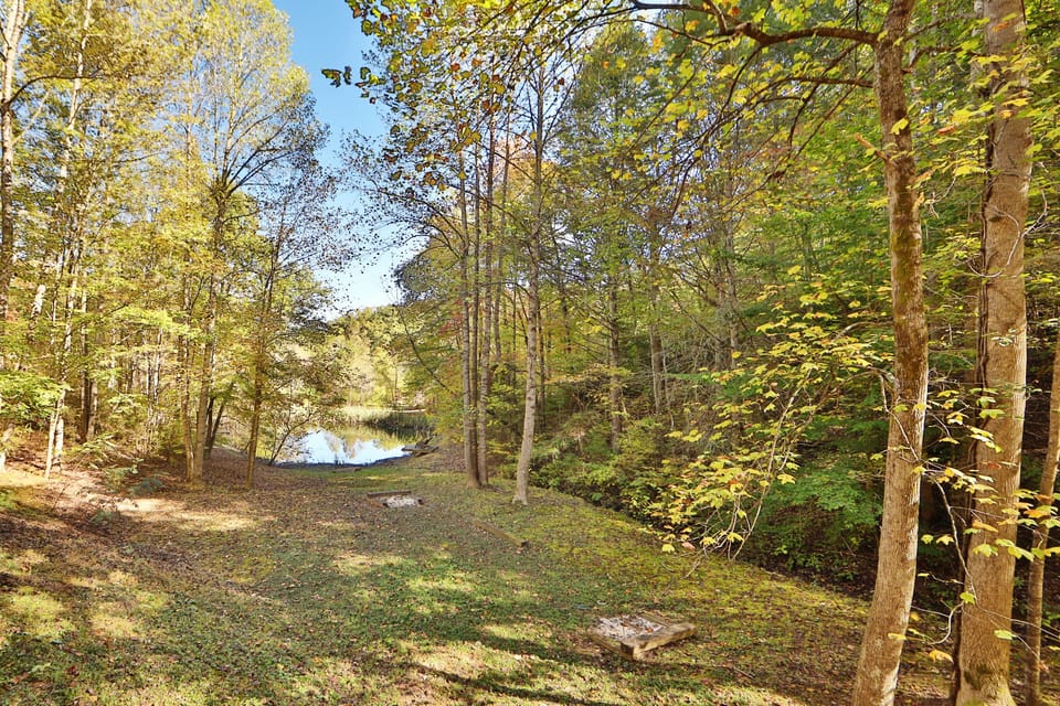 Backyard of Cabin