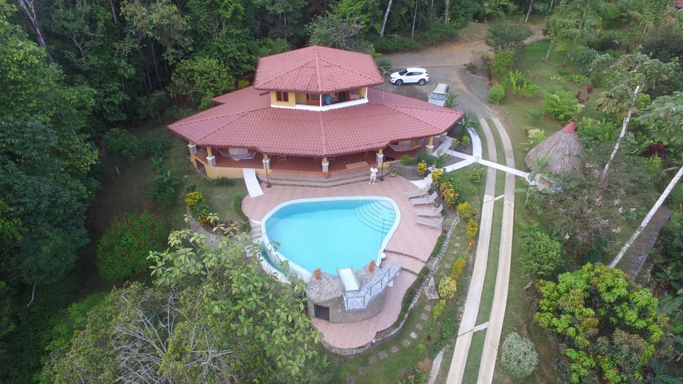 Drone View of House and Lush Tropical Gardens