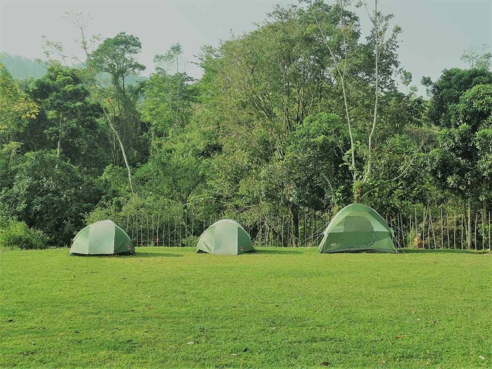 Share with your family this special camping area