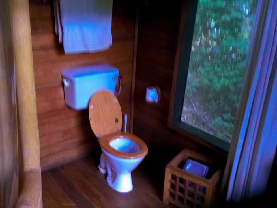 Shower, towels, soap, toilet paper