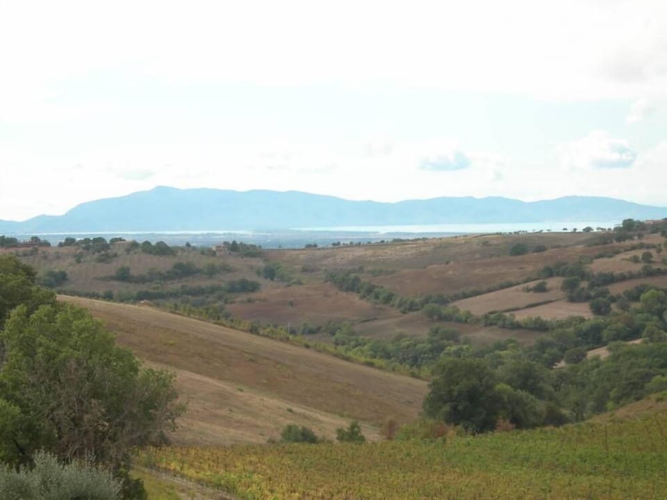House / Villa - Magliano in toscana House in Tuscany