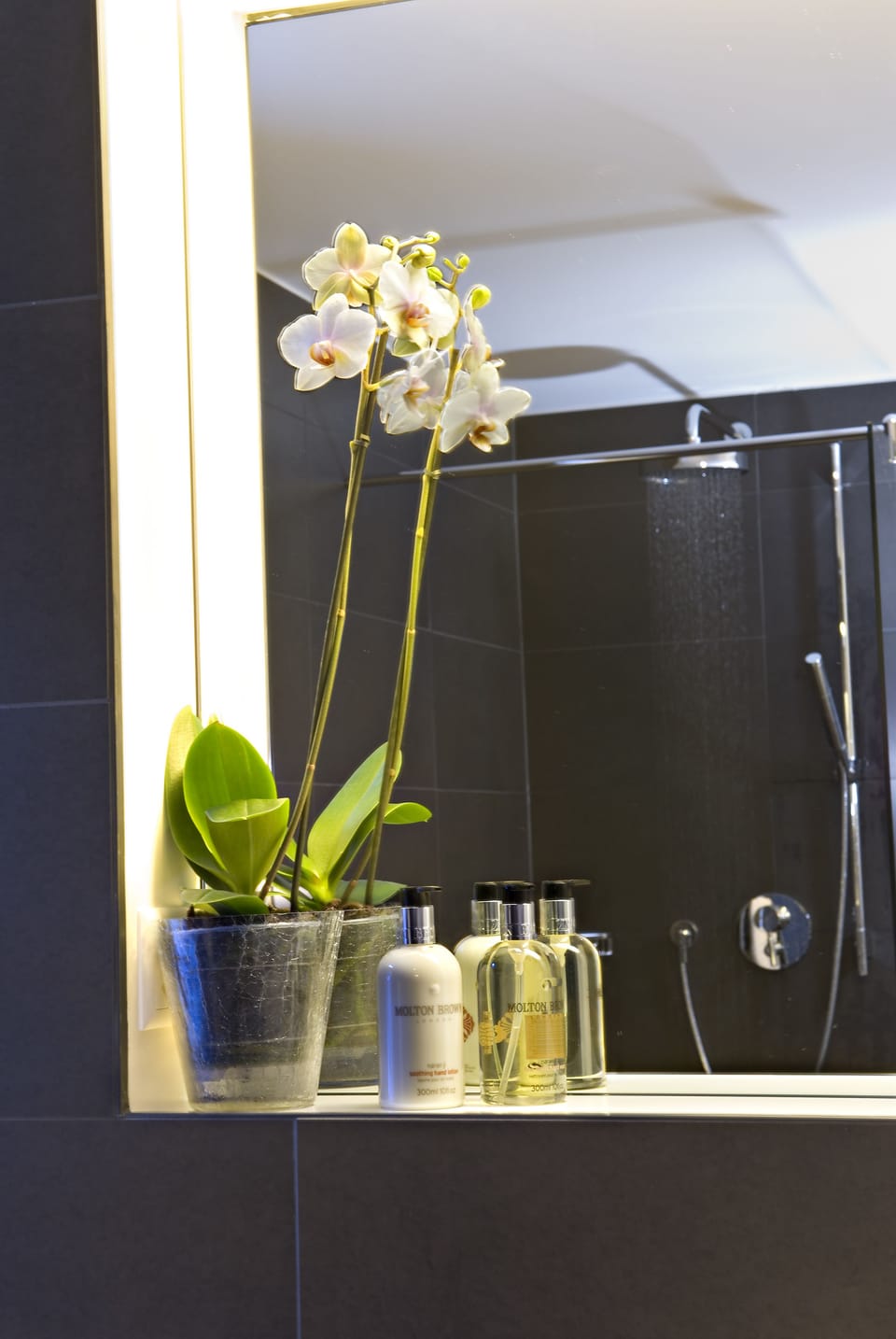 Bathroom amenities