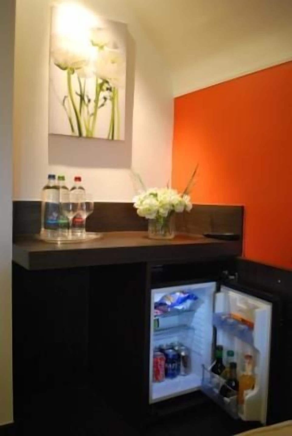 Standard Room | Mini-refrigerator